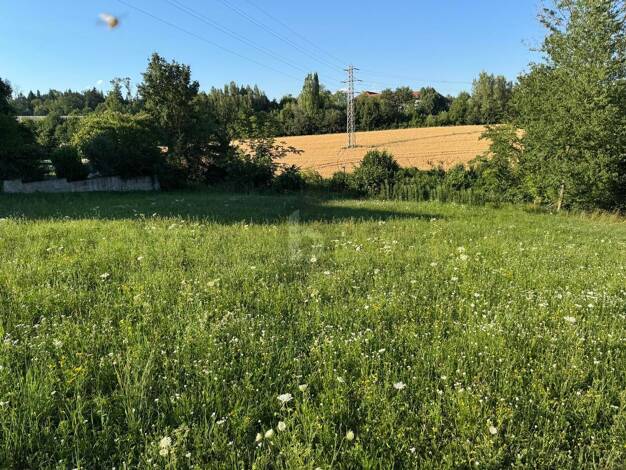 Grundstück zum Kauf 259.000 € 621 m² Grundstück Wels Wels 4600