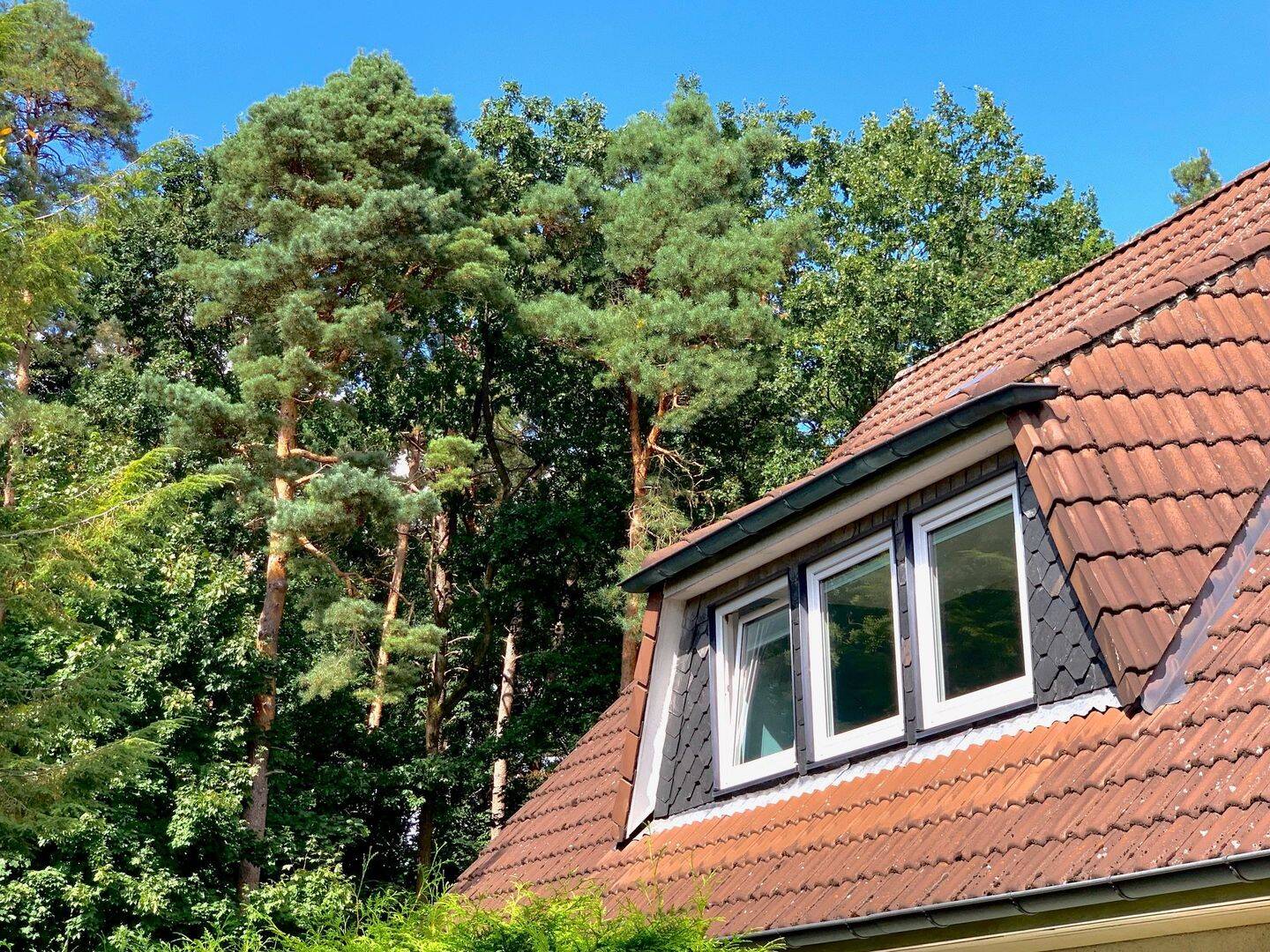 Einfamilienhaus zum Kauf - Mehr