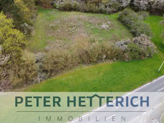 Grundstück zum Kauf 266.500 € 4.032 m² Grundstück Reichenbacher Straße 12 Münnerstadt Münnerstadt 97702