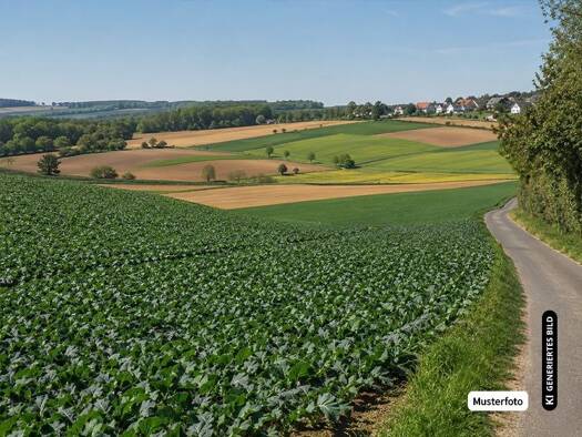 Land-/Forstwirtschaft zum Kauf provisionsfrei 122.700 € Kobern Kobern-Gondorf 56330