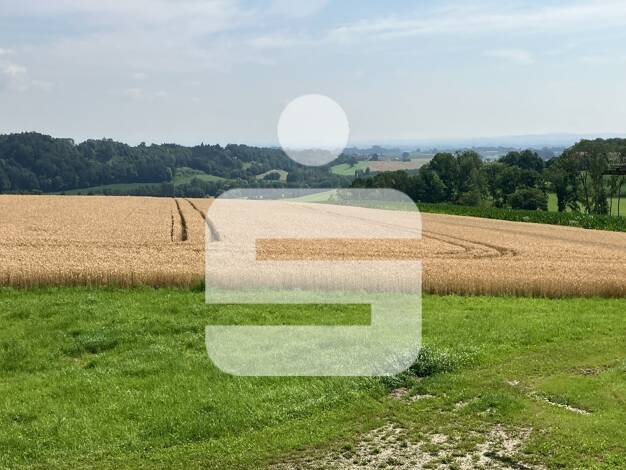 Land-/Forstwirtschaft zum Kauf 770.000 € 96.311 m² Grundstück Bullarn Malching 94094