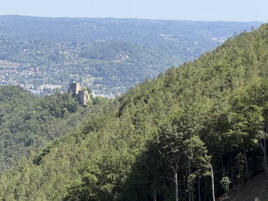 Land-/Forstwirtschaft zum Kauf 1.700.000 m² Grundstück Gratwein-Straßengel 8112