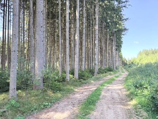 Land-/Forstwirtschaft zum Kauf 85.000 € 14.690 m² Grundstück Buch Buch 89290