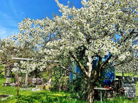 Grundstück zum Kauf 180.000 € 423 m² Grundstück frei ab sofort Oberndorf Rottenburg am Neckar 72108