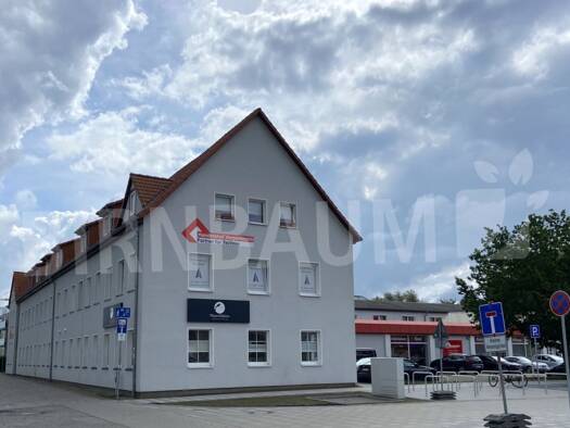 Büro zur Miete provisionsfrei 10 Zimmer Hafenstraße 48 Nördliche Mühlenvorstadt Greifswald 17489