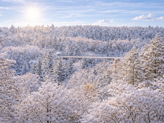 Penthouse zum Kauf 1.350.000 € 4,5 Zimmer 165 m² 3. Geschoss Grünwald Grünwald , Kr München 82031