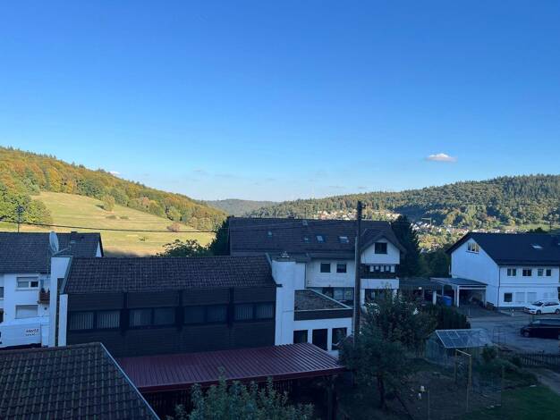 Wohnung zur Miete 990 € 3,5 Zimmer 87 m² 1. Geschoss frei ab 01.12.2026 Johann-Wilhelm-Straße 86 Wilhelmsfeld 69259