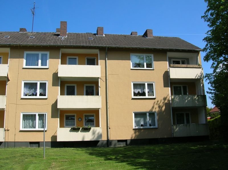 Wohnung zur Miete 454 € 3 Zimmer 65 m²<br/>Wohnfläche EG<br/>Geschoss 01.11.2024<br/>Verfügbarkeit Jerxen - Orbke Detmold 32758