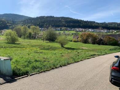 Doppelhaushälfte zum Kauf provisionsfrei als Kapitalanlage geeignet 495.500 € 5 Zimmer 126 m² 453 m² Grundstück Herdweg Loffenau Loffenau 76597