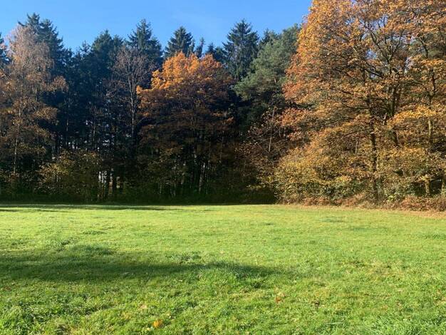 Grundstück zum Kauf 239.000 € 8.555 m² Grundstück Böbrach 94255