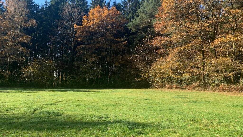 Grundstück zum Kauf 239.000 € 8.555 m² Grundstück Böbrach 94255