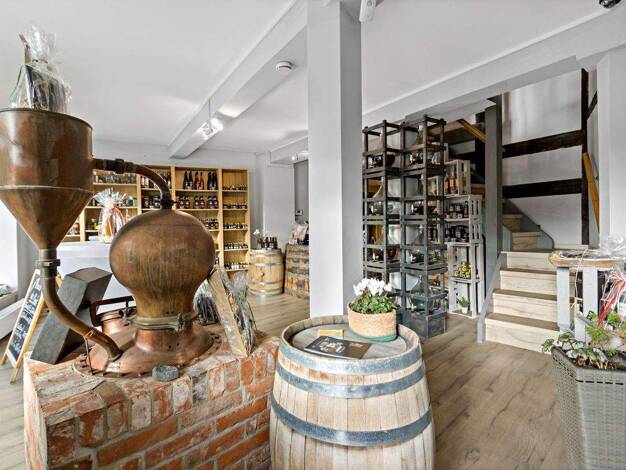 Laden zur Miete 12,50 € 2 Zimmer 100 m² Verkaufsfläche Oleariusstraße 4 Altstadt Halle 06108