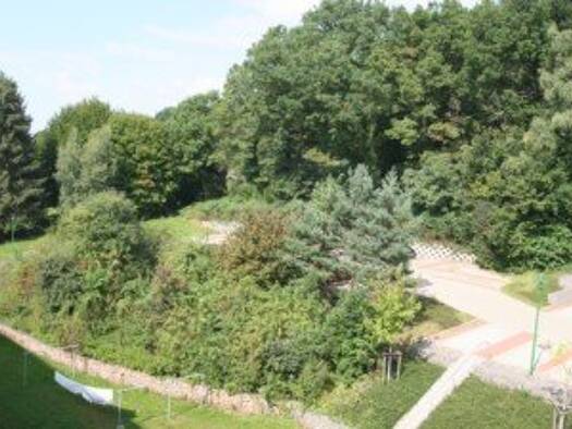 Wohnung zur Miete 249 € 2 Zimmer 48,9 m² 5. Geschoss Fritz-Heckert-Siedlung 52 Hohenstein-Ernstthal 09337