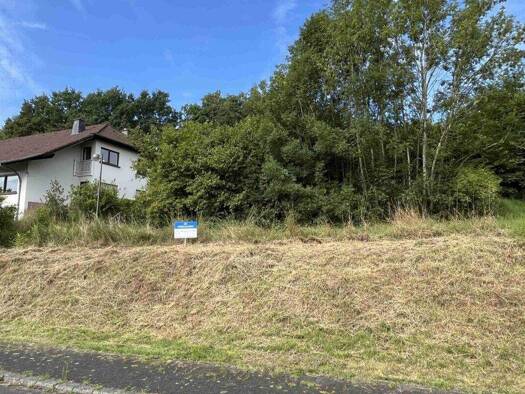 Grundstück zum Kauf 24.760 € 619 m² Grundstück Birresborn 54574