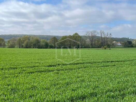 Landwirtschaftliche Fläche zum Kauf 345.000 € 59.386 m² Grundstück Hausberge Porta Westfalica 32457