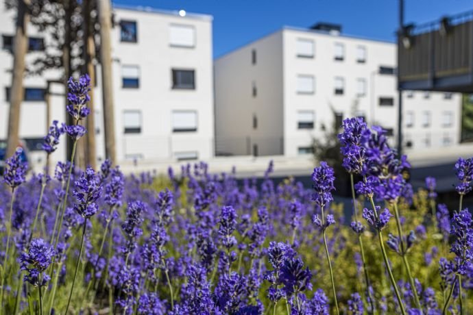 Wohnung zur Miete 481 € 2 Zimmer 61 m²<br/>Wohnfläche 1.<br/>Geschoss 01.01.2025<br/>Verfügbarkeit Charles-Mannay-Straße  50 Weismark 2 Trier 54294