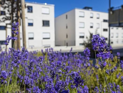 Wohnung zur Miete 500 € 2 Zimmer 62 m² 1. Geschoss frei ab sofort Charles-Mannay-Straße 50 Weismark-Feyen Trier 54294