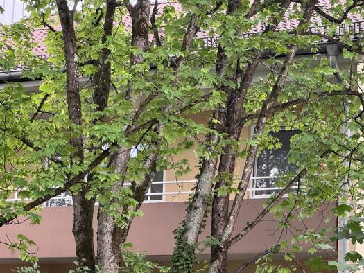 Wohnung zur Miete 1.700 € 3,5 Zimmer 84 m² Geschoss 3/3 frei ab 01.10.2026 Allgäuer Straße 61 Thalk.Obersendl.-Forsten-Fürstenr.-Solln München 81475
