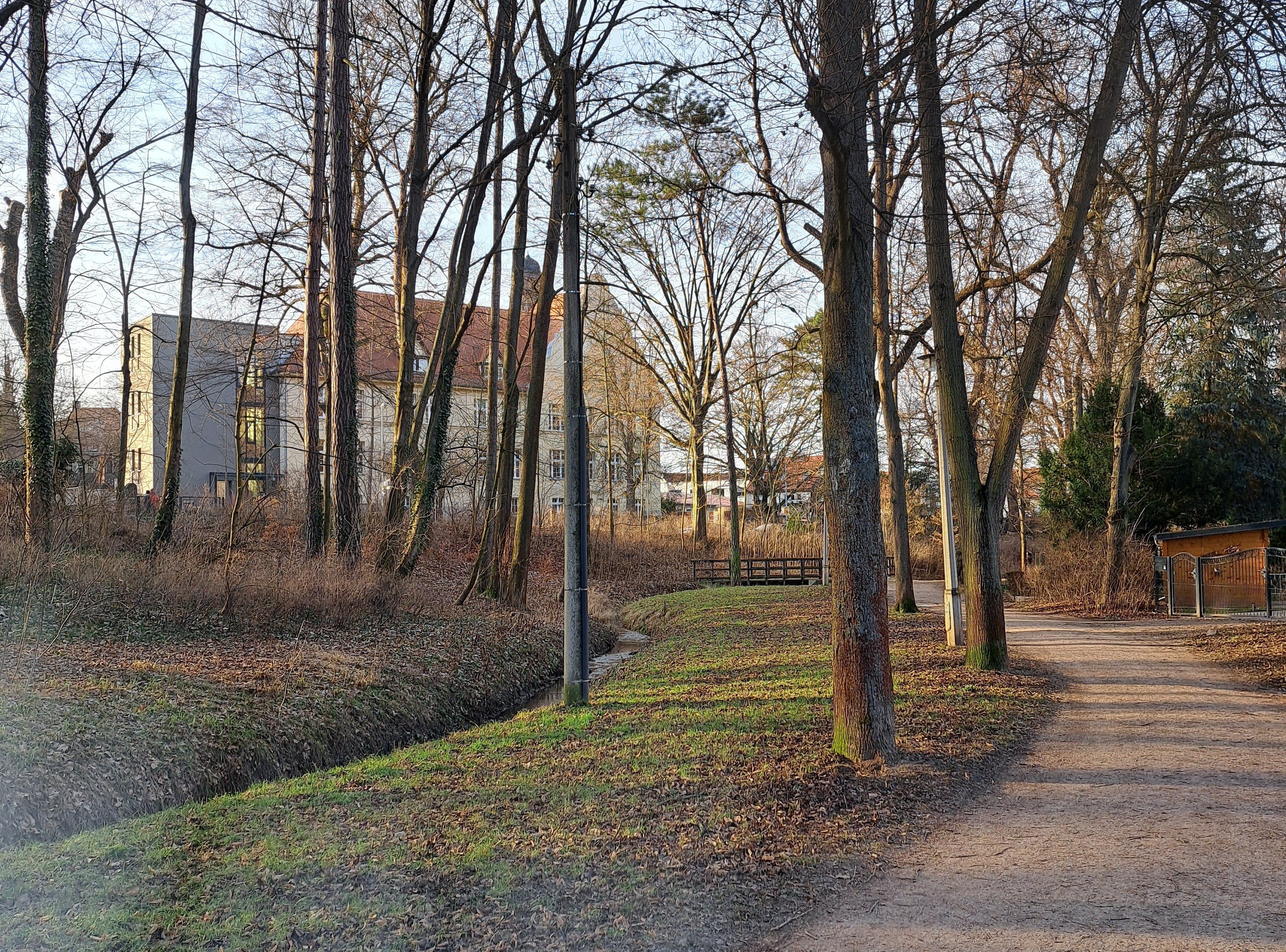 Landwirtschaftliche Fläche zur Miete provisionsfrei 19.300 m²<br/>Fläche Friedrich-Engels-Straße Apolda Apolda 99510