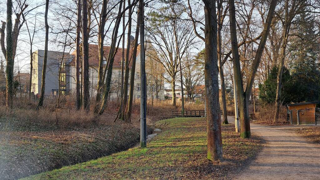 Landwirtschaftliche Fläche zur Miete provisionsfrei 19.300 m² Friedrich-Engels-Straße Apolda 99510