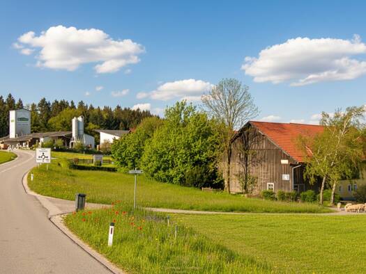 Land-/Forstwirtschaft zum Kauf 49.500 € 1.081 m² Grundstück Taiskirchen im Innkreis 4753