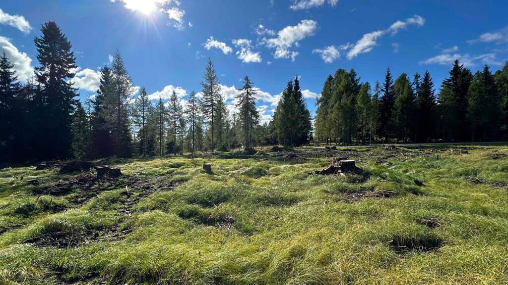 Grundstück zum Kauf 4.767 m² Grundstück Albeck/Hochrindl 9571
