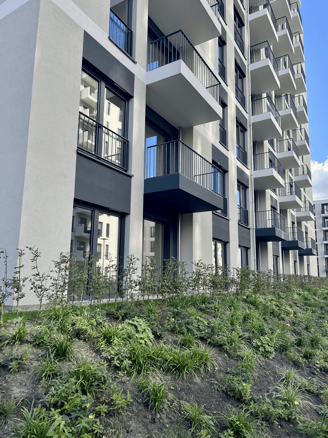 Wohnung zur Miete - Erstbezug - Ansicht 5