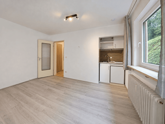 Wohnung zur Miete 185 € 1 Zimmer 18 m² EG Bad Berneck Bad Berneck im Fichtelgebirge 95460