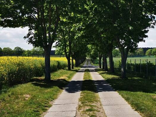 Bürogebäude zur Miete 5 € 10 Zimmer 750 m² Bürofläche teilbar von 30 m² bis 300 m² Mühlenfeld 2 Malchin 17139