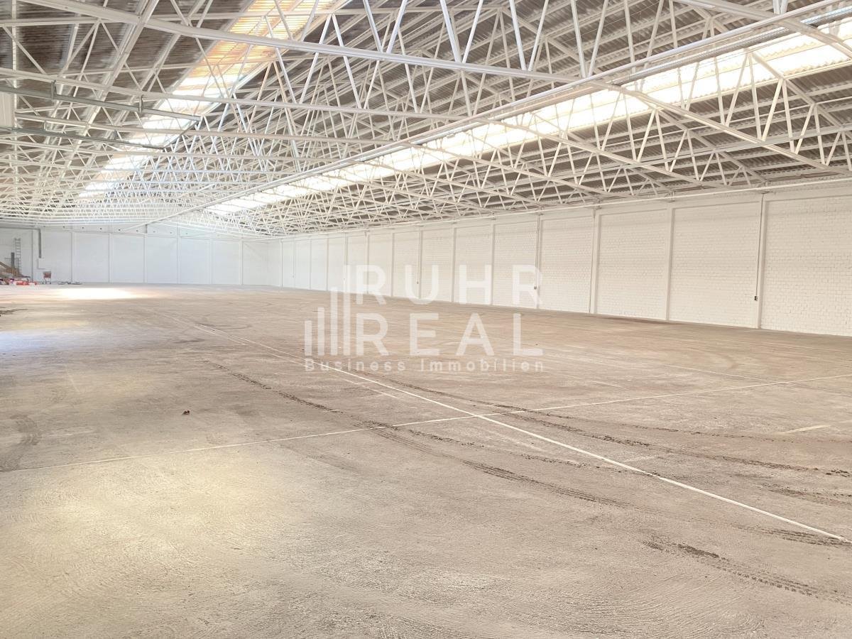 Lagerhalle zur Miete 1.700 m²<br/>Lagerfläche ab 980 m²<br/>Teilbarkeit Hackenbroich Dormagen 41540