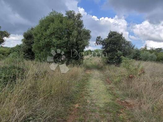 Acker-/Waldstück zum Kauf 40.340 € Kavran, Marčana Marčana 52206