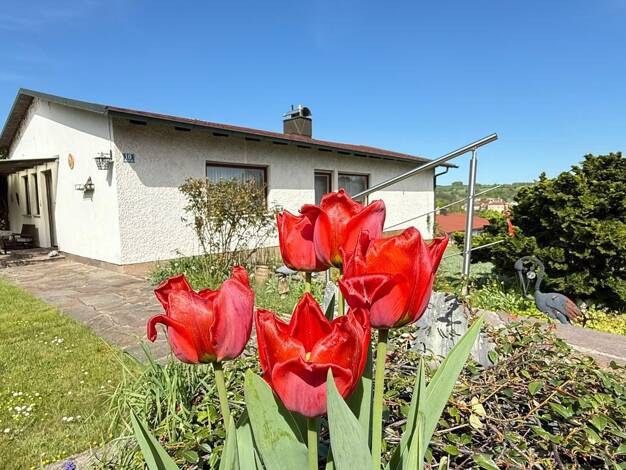 Einfamilienhaus zum Kauf provisionsfrei 398.000 € 5 Zimmer 142,6 m² 1.083 m² Grundstück Laaber Laaber 93164