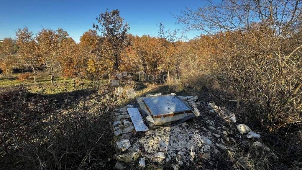 Land-/Forstwirtschaft zum Kauf 77.000 € Svetvincenat