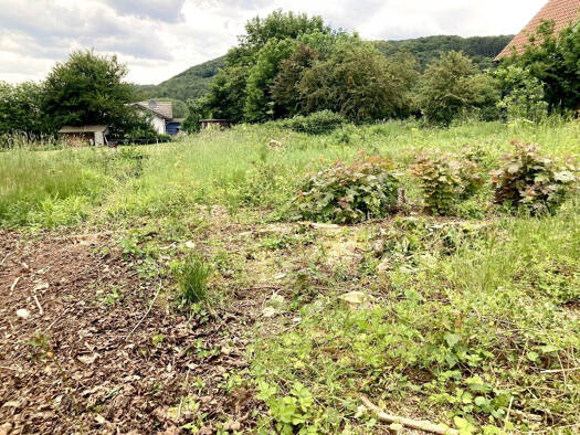 Grundstück zum Kauf 58.000 € 400 m² Grundstück Scheden 37127