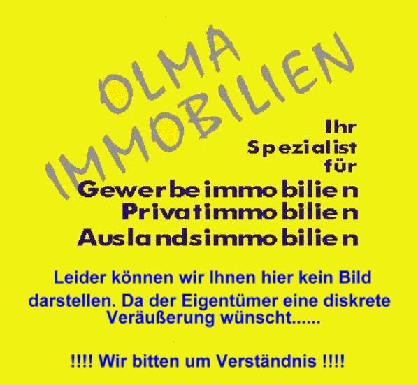 Mehrfamilienhaus zum Kauf als Kapitalanlage geeignet 260.000 € 11 Zimmer 267 m²<br/>Wohnfläche 59 m²<br/>Grundstück Bad Laasphe Bad Laasphe 57334