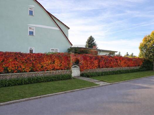 Doppelhaushälfte zum Kauf 249.000 € 4 Zimmer 146 m² 468 m² Grundstück Templin 17268