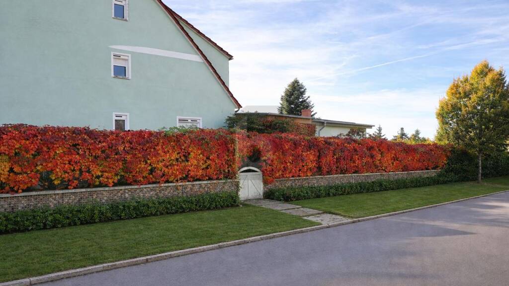 Doppelhaushälfte zum Kauf 249.000 € 4 Zimmer 146 m² 468 m² Grundstück Templin 17268