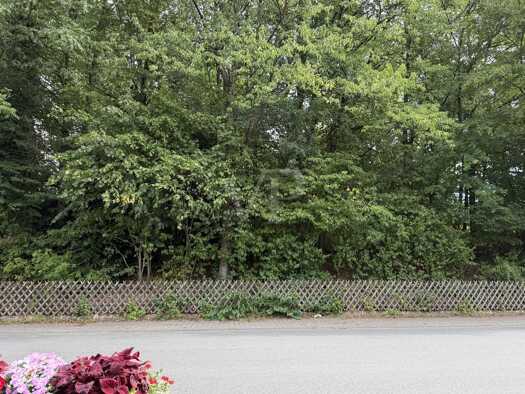 Grundstück zum Kauf 187.000 € 1.320 m² Grundstück Beerfelden Oberzent 64760