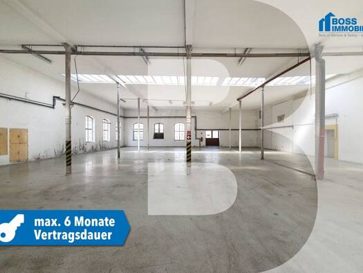 Lagerhalle zur Miete 1.360 € 680 m² Lagerfläche Traun 4050