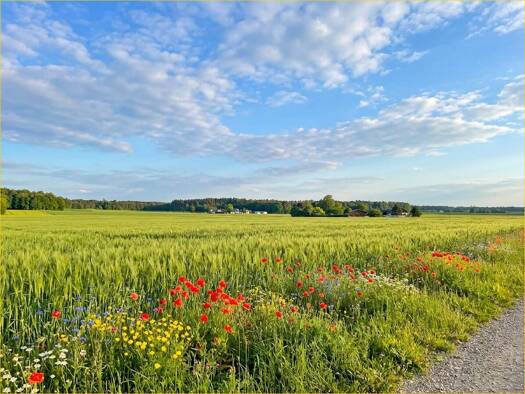 Grundstück zum Kauf 201.300 € 9.150 m² Grundstück Birkach Hohenlinden 85664