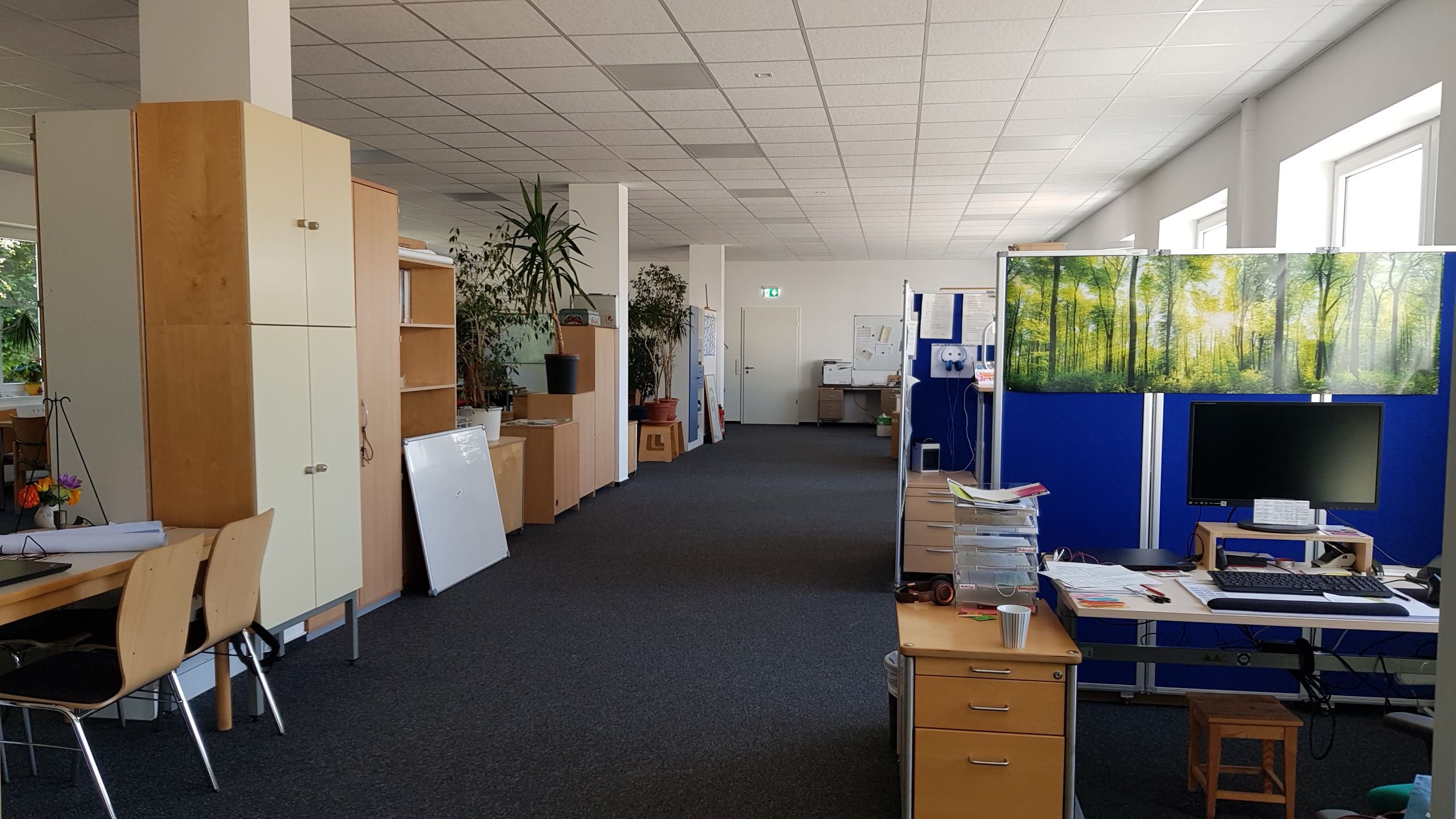 Bürofläche zur Miete 370 m²<br/>Bürofläche Süsterfeld / Helleböhn Kassel 34134