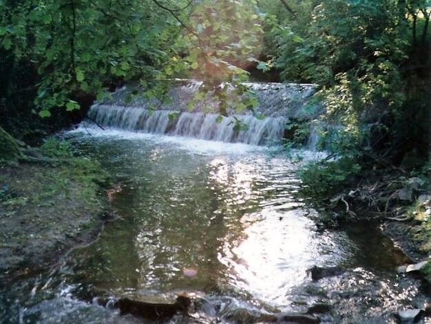 Studio zur Miete 380 € 1 Zimmer 27 m² Geschoss 1/2 frei ab sofort Rübenmühle Wendelsheim 55234