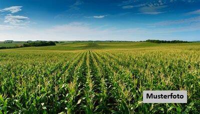 Land-/Forstwirtschaft zum Kauf