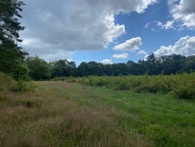 Landwirtschaftliche Fläche zum Kauf 220.000 € 40.000 m² 40.000 m² Grundstück Rade Neu Wulmstorf 21629