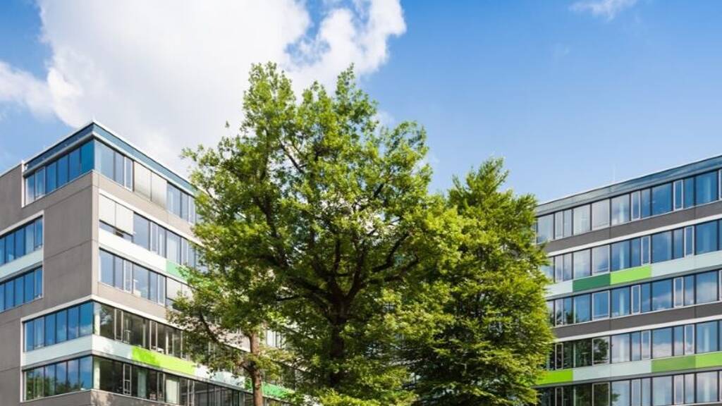 Sonstiges zum Kauf provisionsfrei als Kapitalanlage geeignet 161.000 € 3.432 m² 3.432 m² Grundstück Neukirch 01904