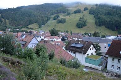 Grundstück zum Kauf 189.000 € 1.461 m² Grundstück Todtnau Todtnau 79674