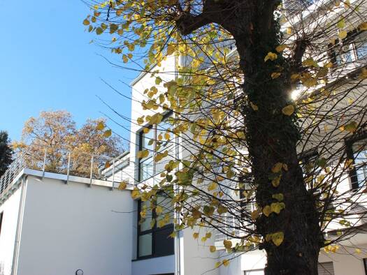 Penthouse zur Miete 1.500 € 3 Zimmer 95,2 m² 3. Geschoss frei ab sofort Oberkassel Bonn 53227
