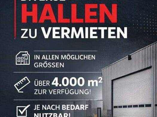 Lagerhalle zur Miete provisionsfrei 14.745 € 4.213 m² Lagerfläche Dingden Hamminkeln 46499