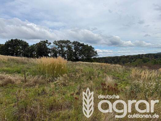 Land-/Forstwirtschaft zum Kauf 5.900 € 9.353 m² Grundstück Gauernitz Klipphausen / Gauernitz 01665