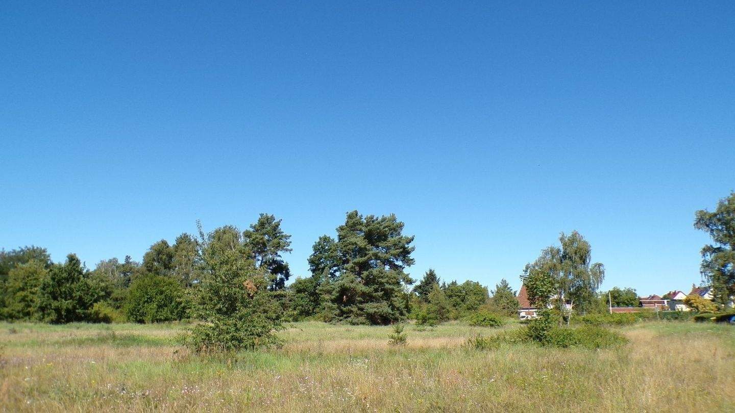 Städtisches Grundstück in Cottbus/Chósebuz, Lausitz Science Park - Stadtfeld Produktive Scholle